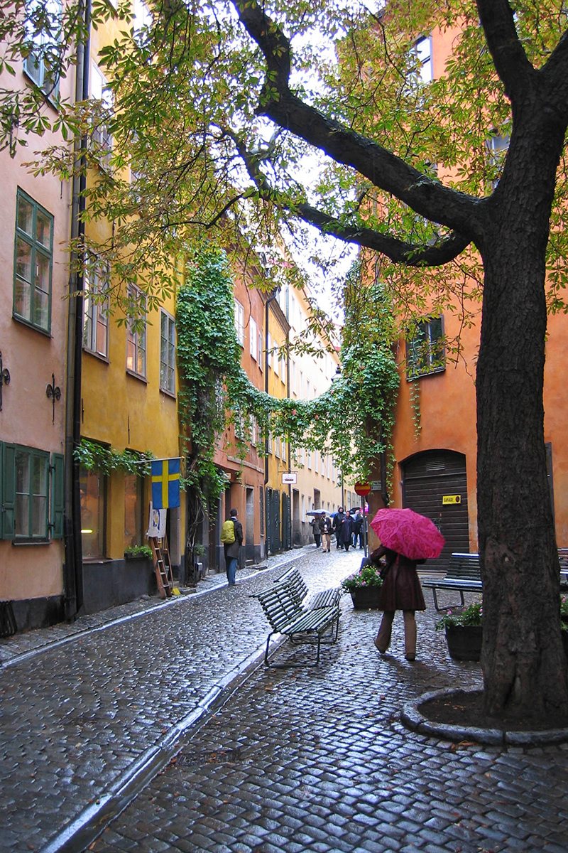 A woman with a pink umbrella walking through the rainy streets and colorful buildings of Gamla Stan (Old Town) Stockholm