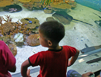 Shanghai Aquarium