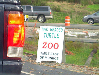 Turtle Two Heads