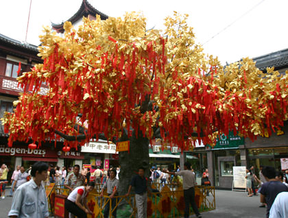 Wishing Tree