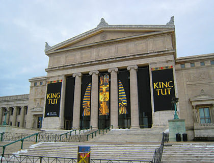 Field Museum Tut!