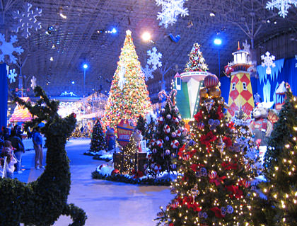 Winter Wonderfest