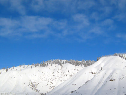 Blue Sky Snow