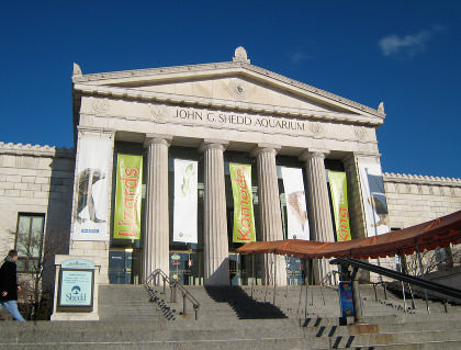 Shedd Aquarium