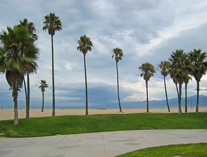 Venicebeach