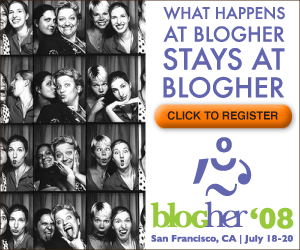Stupid Blogher08 Ad