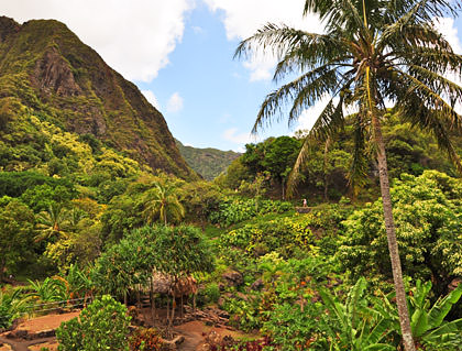 Iao Needle State Park