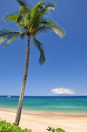 Makena Beach