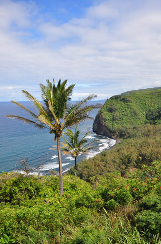 Pololu Lookout