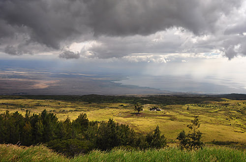 Up-Country Rains