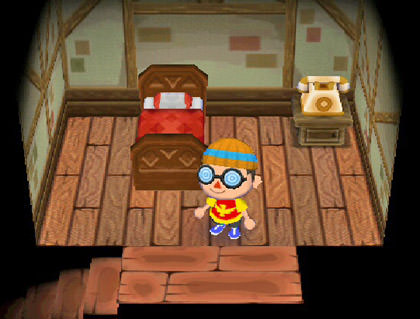 Animal Crossing Dave Bedroom