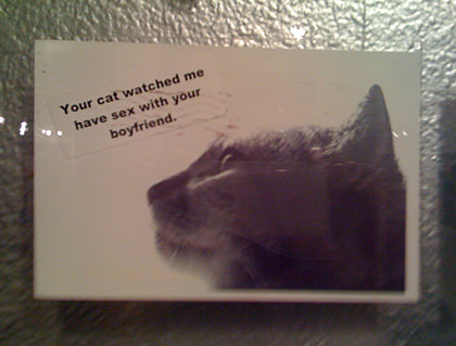 A postcard of a cat saying Your cat watched me have sex with your boyfriend