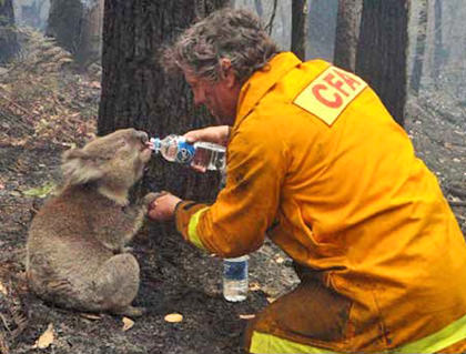 Sam gets a drink from firefighter David Tree