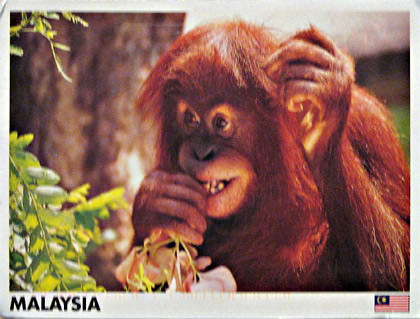 Malaysia Postcard