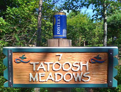 Hole #7: Tatoosh Meadows