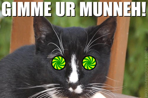 Psycho Cat Hypnotizes You to Give Dave Ur Munneh!