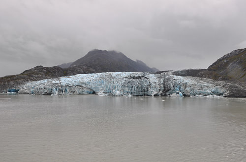 Johns Hopkins Glacier