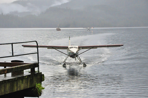 Float Plane Landing in Neets Bay