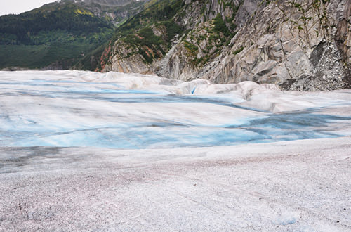 Mendenhall Glacier Flats