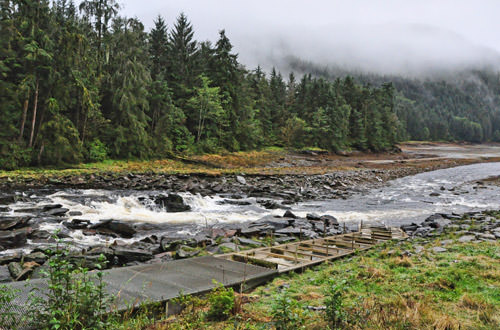 Neets Bay Fish Ladder