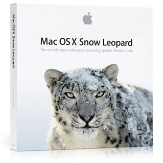 Snow Leopard Box