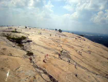 Stone Mountain People Ants
