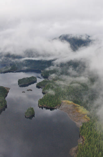 Misty Alaska