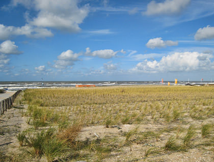 A Scenic Look Towards the Beach