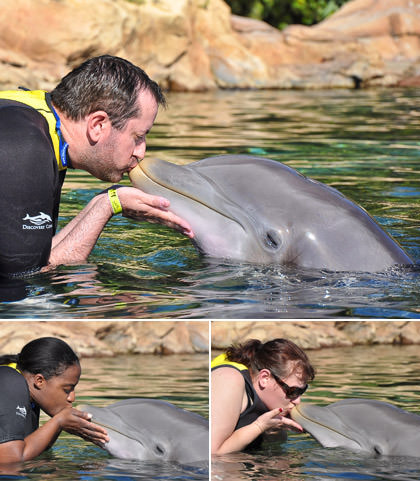 Kissing a Dolphin