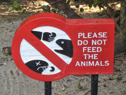 Do Not Feed the Animals