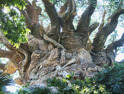 Disney Animal Kingdom Tree of Life