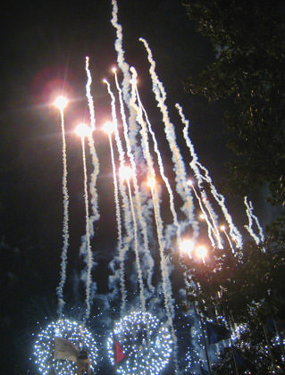 Walt Disney World Fireworks