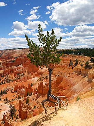 Bryce Canyon National Park