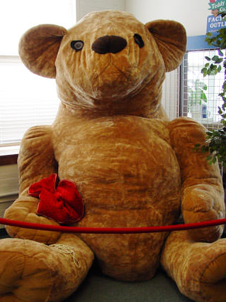 Giant Teddy Bear