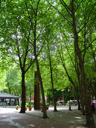 Occidental Park