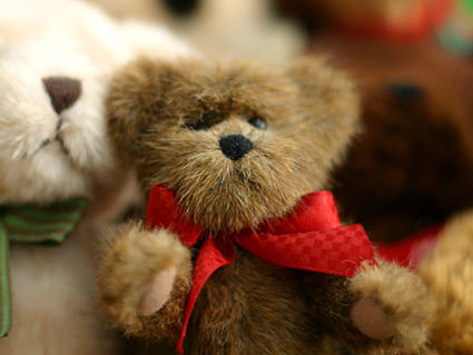 Teddy Bears