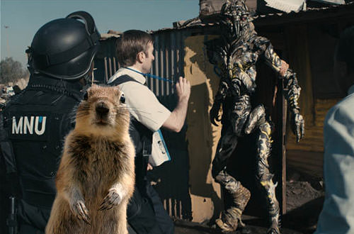 Crasher Squirrel in District 9