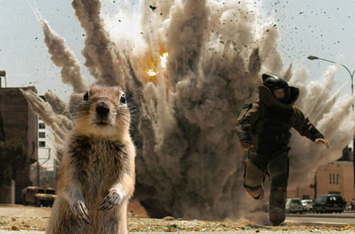 Crasher Squirrel in The Hurt Locker