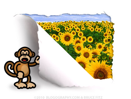 DAVETOON: Bad Monkey Reveals a Sunflowers Photo