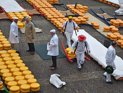 Alkmaar Cheese Market