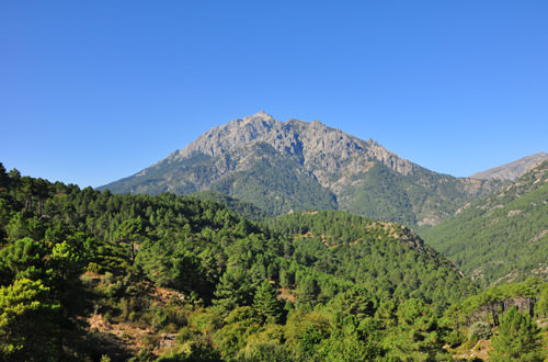 Corsican Mountains