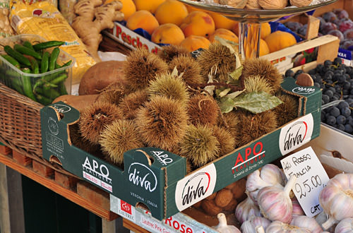 Santa Margherita Fruit Market Tribbles