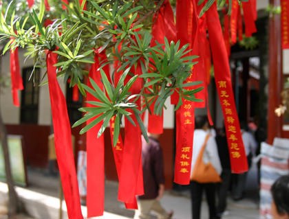 Red Ribbons of a Tree Branch in China