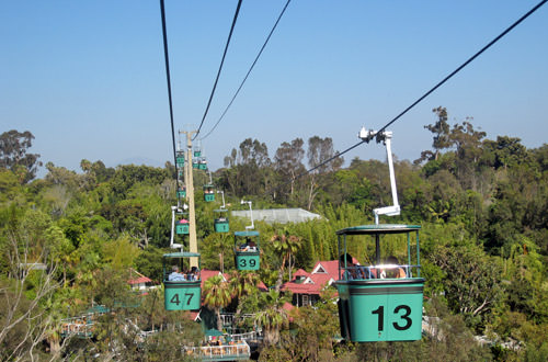 San Diego Zoo DEATH BUCKETS!