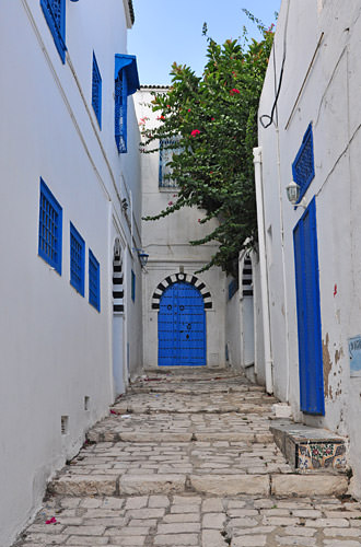 Blue Doors