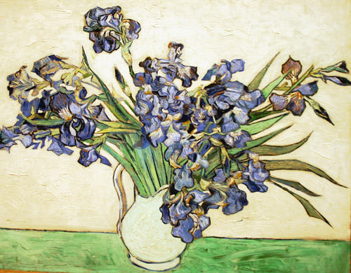 Van Gogh Irises