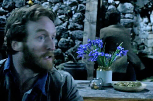 Dr. Who Van Gogh's Irises
