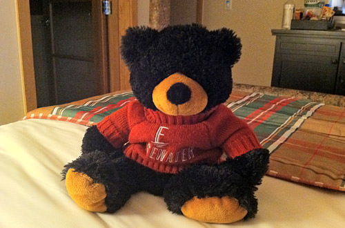 Stuffed Black Bear Teddy