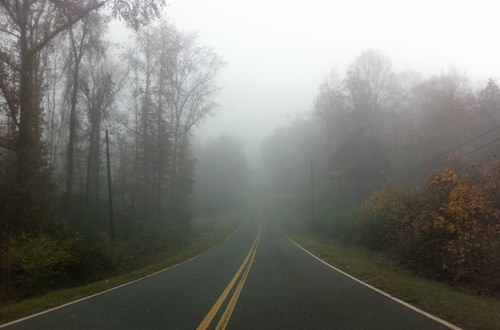 Foggy Georgia Morning