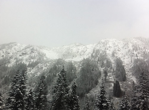 Stevens Pass Snowy